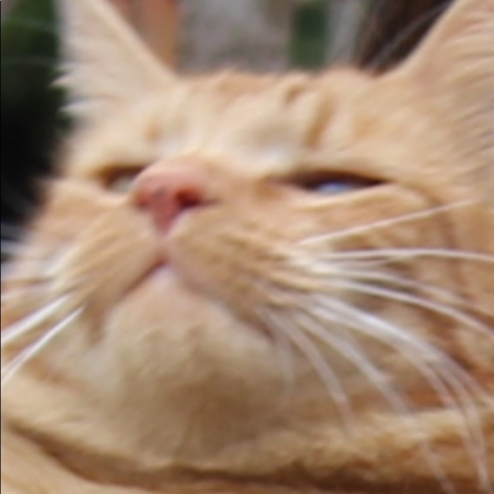 Meet your Posher, Megan